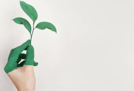 Sustainable Fashion - Person's Left Hand Holding Green Leaf Plant